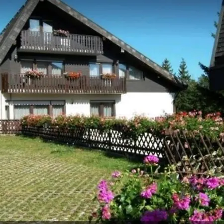 Ferienhaus-schoenwald Im Herzen Des Schwarzwaldes 2-zimmer-wohnung Mit Balkon App 19 *