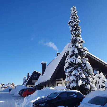 Ferienhaus-schoenwald Im Herzen Des Schwarzwaldes 2-zimmer-wohnung Mit Balkon App 19 * Шёнвальд