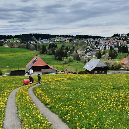 Ferienhaus-schoenwald Im Herzen Des Schwarzwaldes 2-zimmer-wohnung Mit Balkon App 19 Apartment *