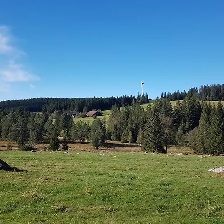 Ferienhaus-schoenwald Im Herzen Des Schwarzwaldes 2-zimmer-wohnung Mit Balkon App 19