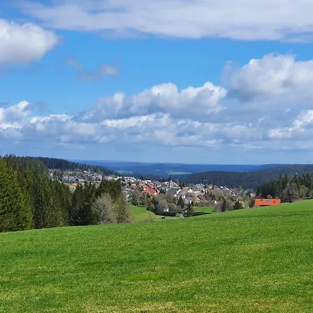 Ferienhaus-schoenwald Im Herzen Des Schwarzwaldes 2-zimmer-wohnung Mit Balkon App 19 Апартаменты
