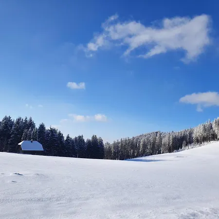 Ferienhaus-schoenwald Im Herzen Des Schwarzwaldes 2-zimmer-wohnung Mit Balkon App 19 Апартаменты *